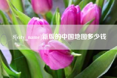 白沙新版的中国地图多少钱