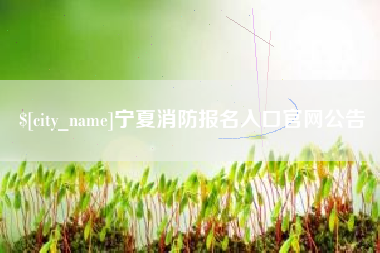 白沙宁夏消防报名入口官网公告