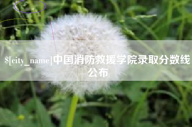 白沙中国消防救援学院录取分数线公布