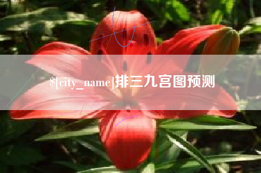 白沙排三九宫图预测