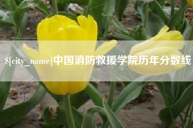 白沙中国消防救援学院历年分数线
