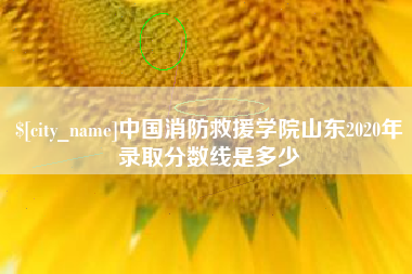 白沙中国消防救援学院山东2020年录取分数线是多少
