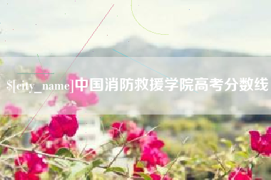 白沙中国消防救援学院高考分数线