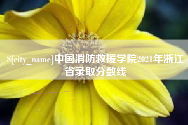 白沙中国消防救援学院2021年浙江省录取分数线