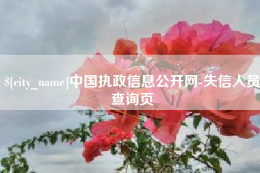 白沙中国执政信息公开网-失信人员查询页