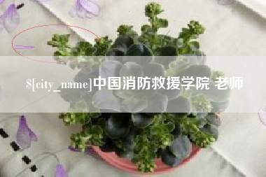 白沙中国消防救援学院 老师