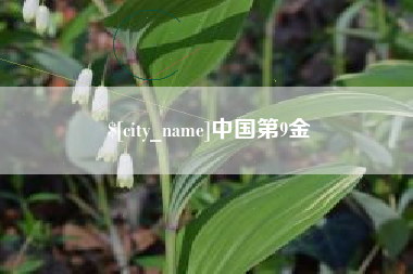 白沙中国第9金