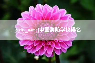 白沙中国消防学校排名