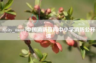 白沙中国消防官网中小学消防公开课