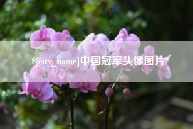 白沙中国冠军头像图片