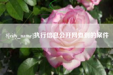白沙执行信息公开网查到的案件