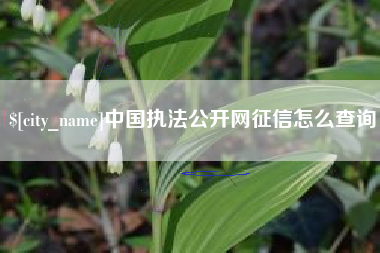 白沙中国执法公开网征信怎么查询