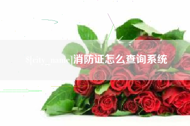 白沙消防证怎么查询系统