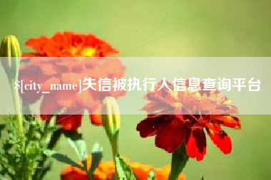 白沙失信被执行人信息查询平台