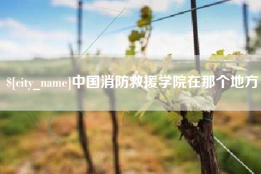 白沙中国消防救援学院在那个地方