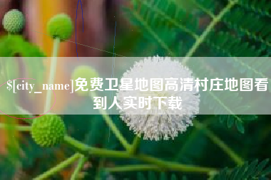 白沙免费卫星地图高清村庄地图看到人实时下载