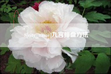 白沙九宫排盘方法