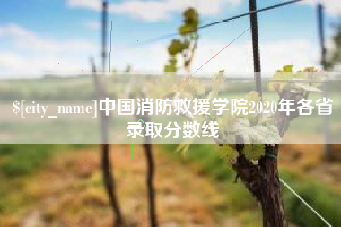 白沙中国消防救援学院2020年各省录取分数线