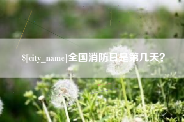 白沙全国消防日是第几天？
