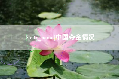 白沙中国夺金情况