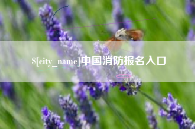 白沙中国消防报名入口