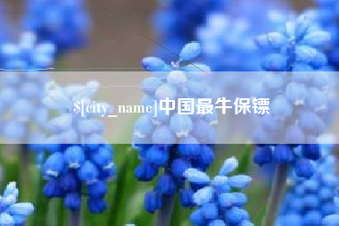 白沙中国最牛保镖