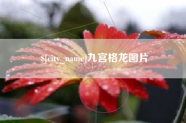 白沙九宫格龙图片