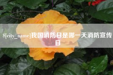 白沙我国消防日是哪一天消防宣传日