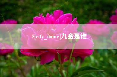 白沙九金是谁
