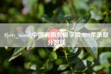 白沙中国消防救援学院2019年录取分数线