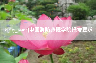 白沙中国消防救援学院报考要求