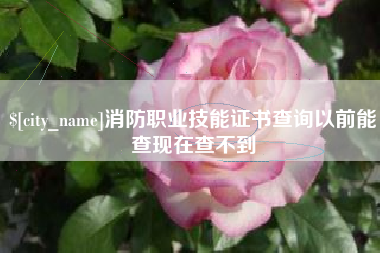 白沙消防职业技能证书查询以前能查现在查不到
