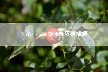 白沙5000米及格成绩