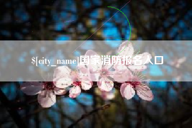 白沙国家消防报名入口