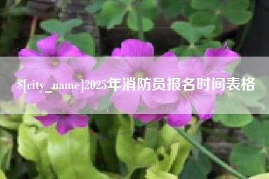 白沙2025年消防员报名时间表格
