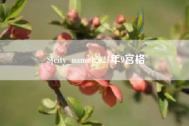 白沙2021年9宫格