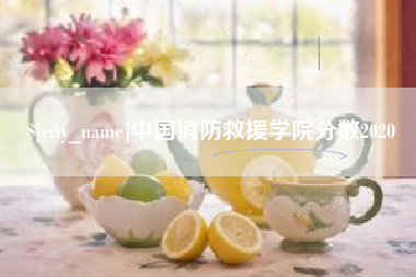 白沙中国消防救援学院分数2020