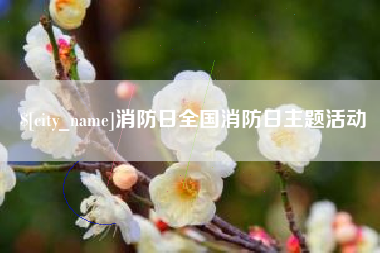 白沙消防日全国消防日主题活动