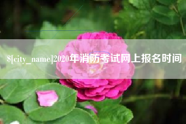 白沙2020年消防考试网上报名时间