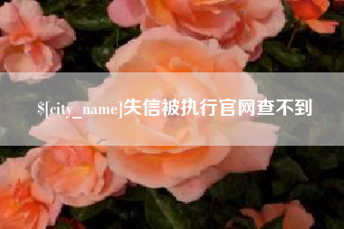 白沙失信被执行官网查不到