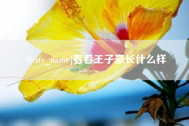 白沙看看王子豪长什么样