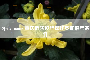 白沙重庆消防设施操作员证报考条件