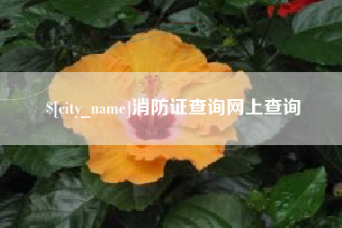 白沙消防证查询网上查询