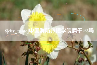 白沙中国消防救援学院属于985吗