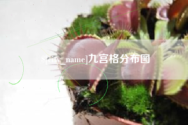 白沙九宫格分布图