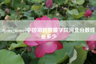 白沙中国消防救援学院河北分数线是多少