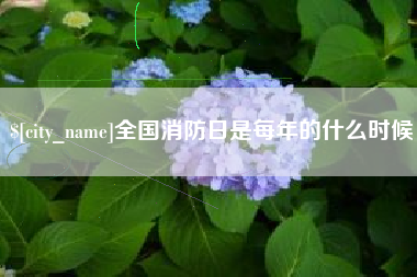 白沙全国消防日是每年的什么时候