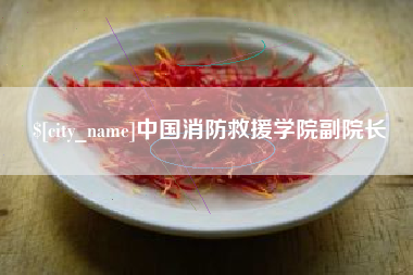 白沙中国消防救援学院副院长