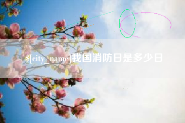 白沙我国消防日是多少日