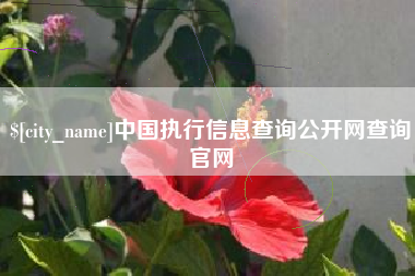 白沙中国执行信息查询公开网查询官网